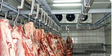 肉的营养品质与冷库温度波动有关吗？